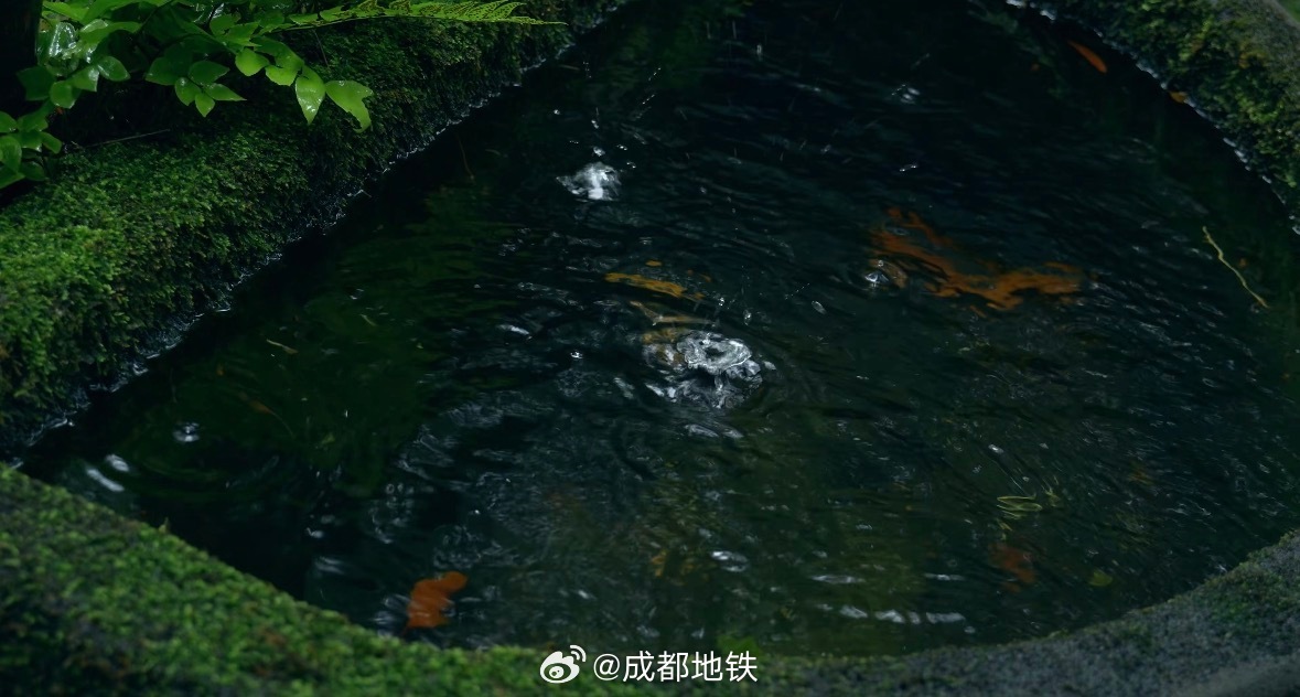#坐地铁耍成都# 且听风吟，且看云散。乘坐地铁13号线/4号线至杜甫