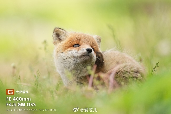 【索尼把 600mm 超长焦做到不到 1kg 了】#索尼发布两款超轻