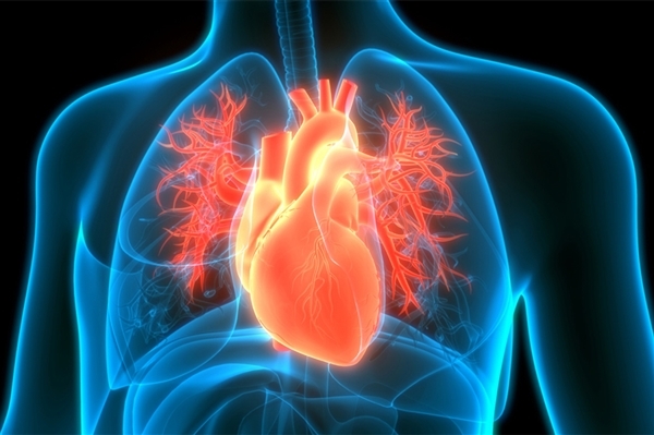 遥远养狗腹黑病风险直降20%：自然护心神器