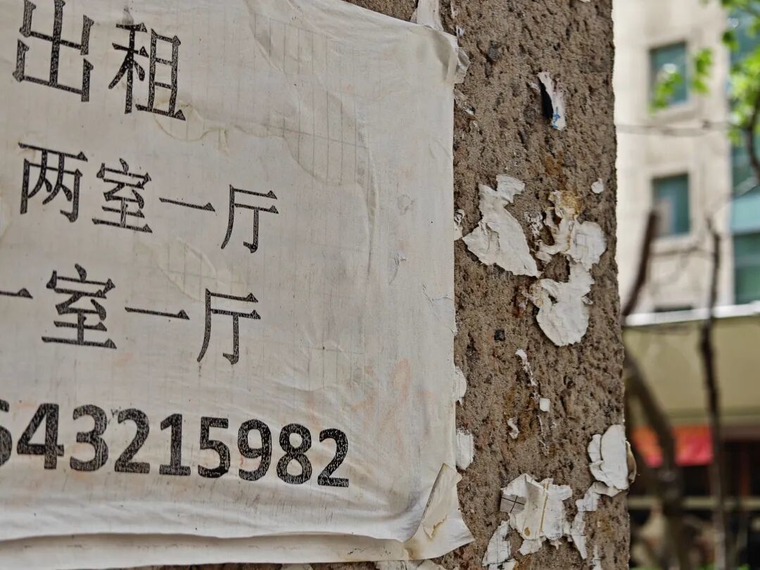 租房市场对养宠物的人来说,似乎也不友好。
