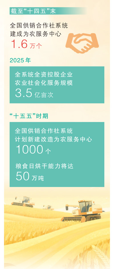 数据来源:中华全国供销合作总社 制图:蔡华伟