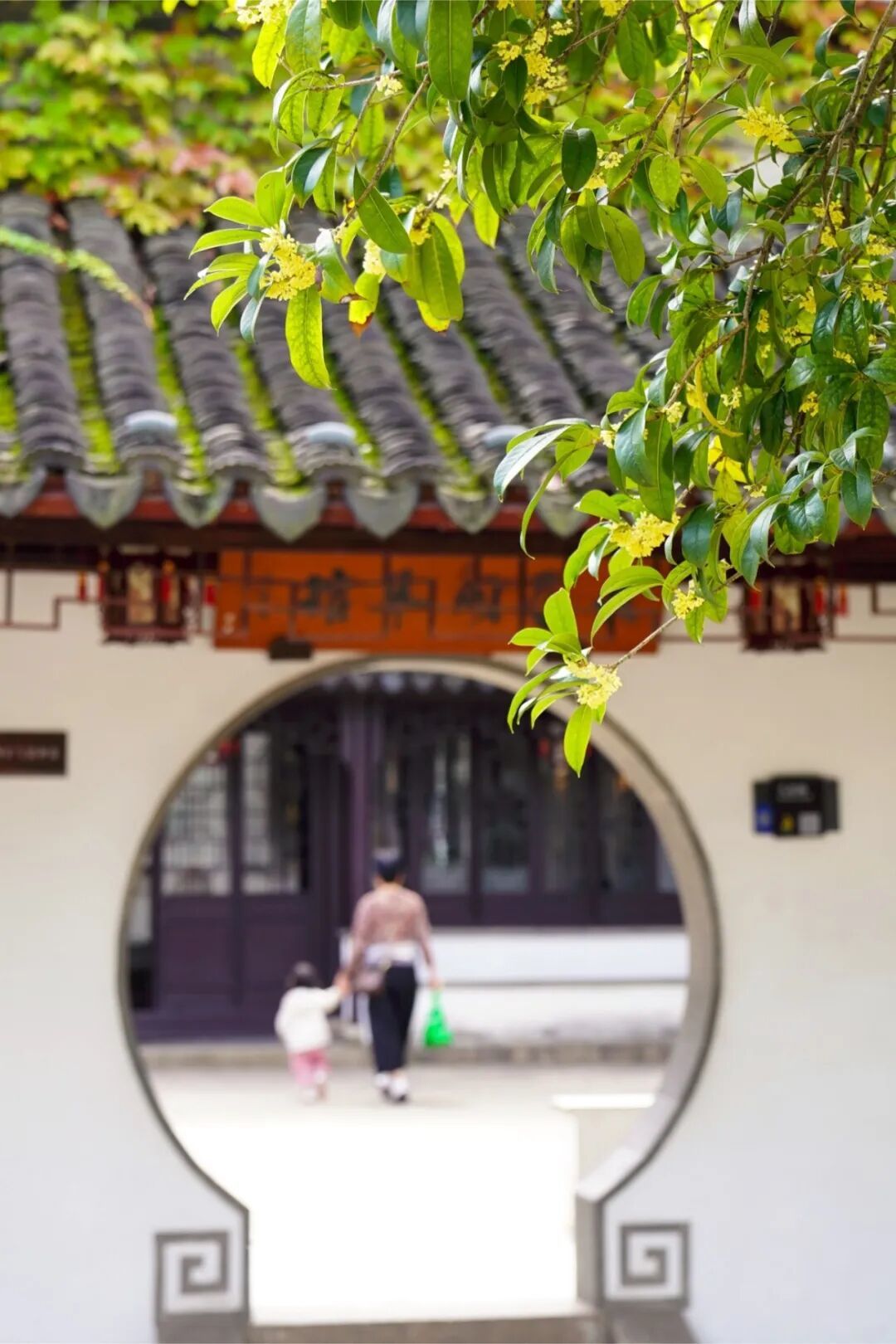 dfff58c6675894bfa87121c42365fe95.jpg