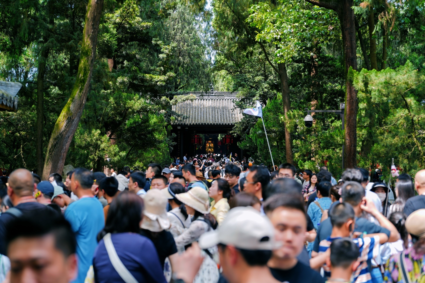成都武侯祠博物馆全年接待观众603万人次