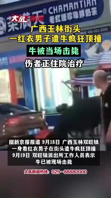 广西玉林一红衣男子街头遭牛疯狂顶撞，牛被当场击毙，伤者正住院治疗