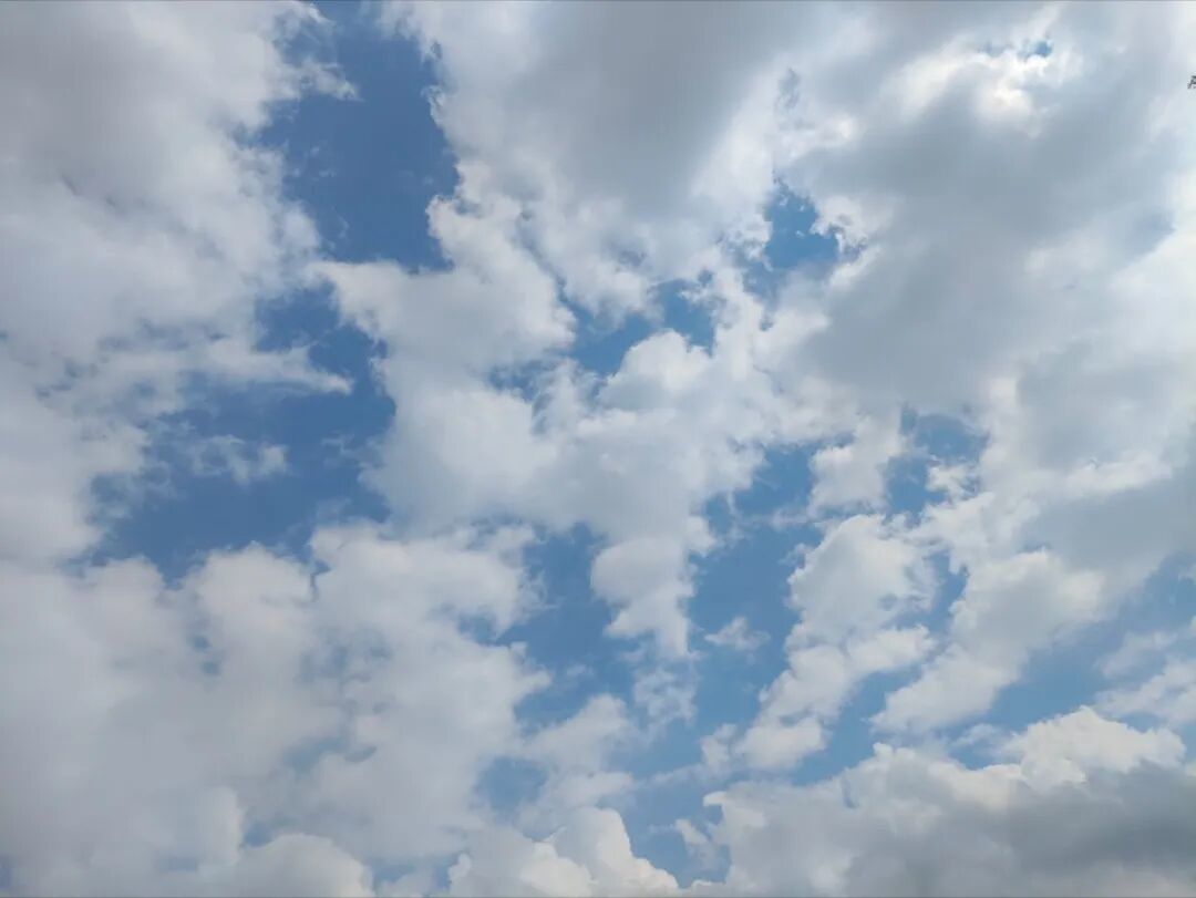 006cx17fgy1ihx4405zxgj313y0u0dip.jpg