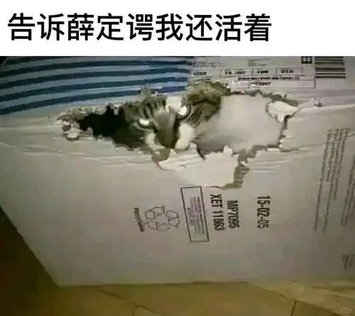 最反常618：商家们开始逃离低价！
