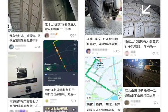 截图自:小红书