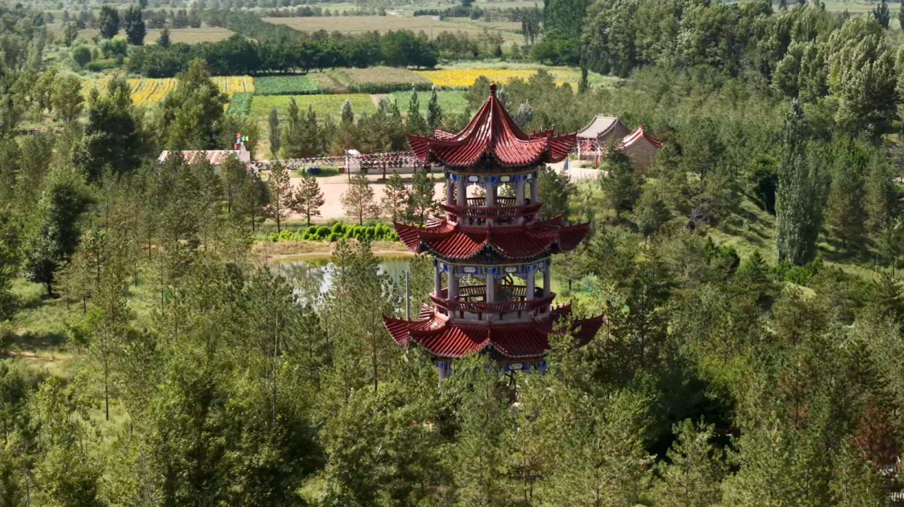 这是在殷玉珍家附近拍摄的毛乌素沙地(8月24日摄,无人机照片)。