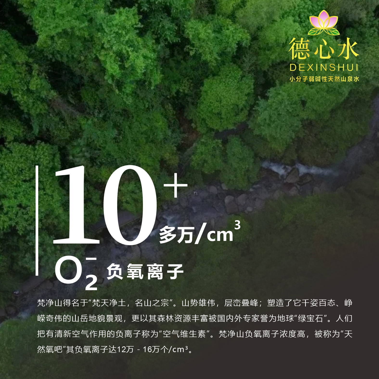 【德心水】小分子弱碱性自然饮用山泉水350ml*12瓶高端商务家居水
