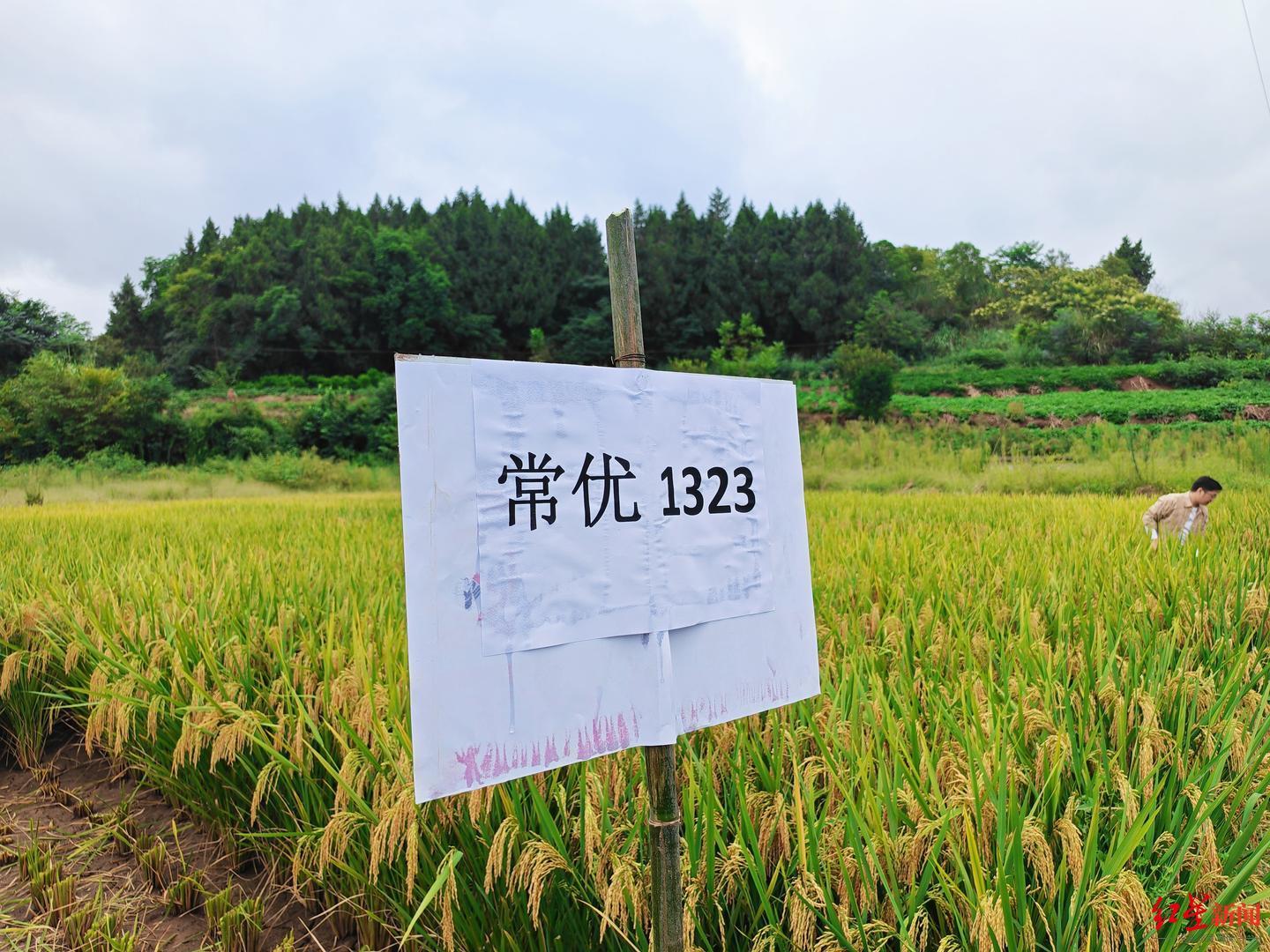 图3.jpg