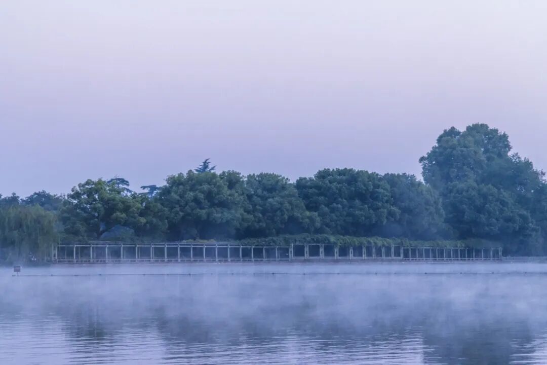6215aac0577147014648ecec75225b0b.jpg