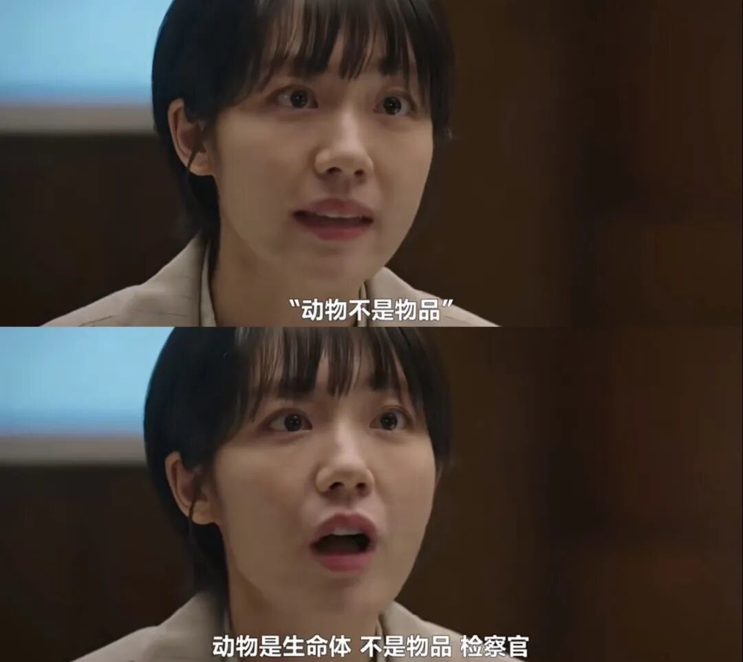 《公益律师》剧照