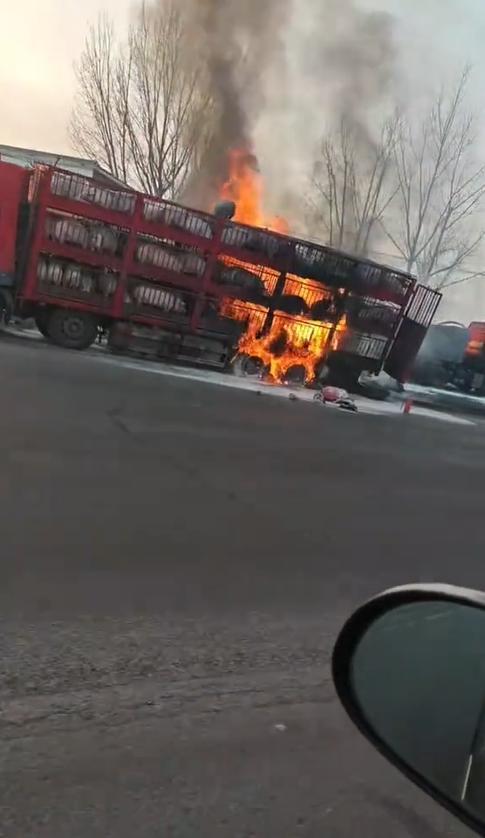 河南一满载活猪的大卡车突发大火,目击者:猪被烧得直叫唤