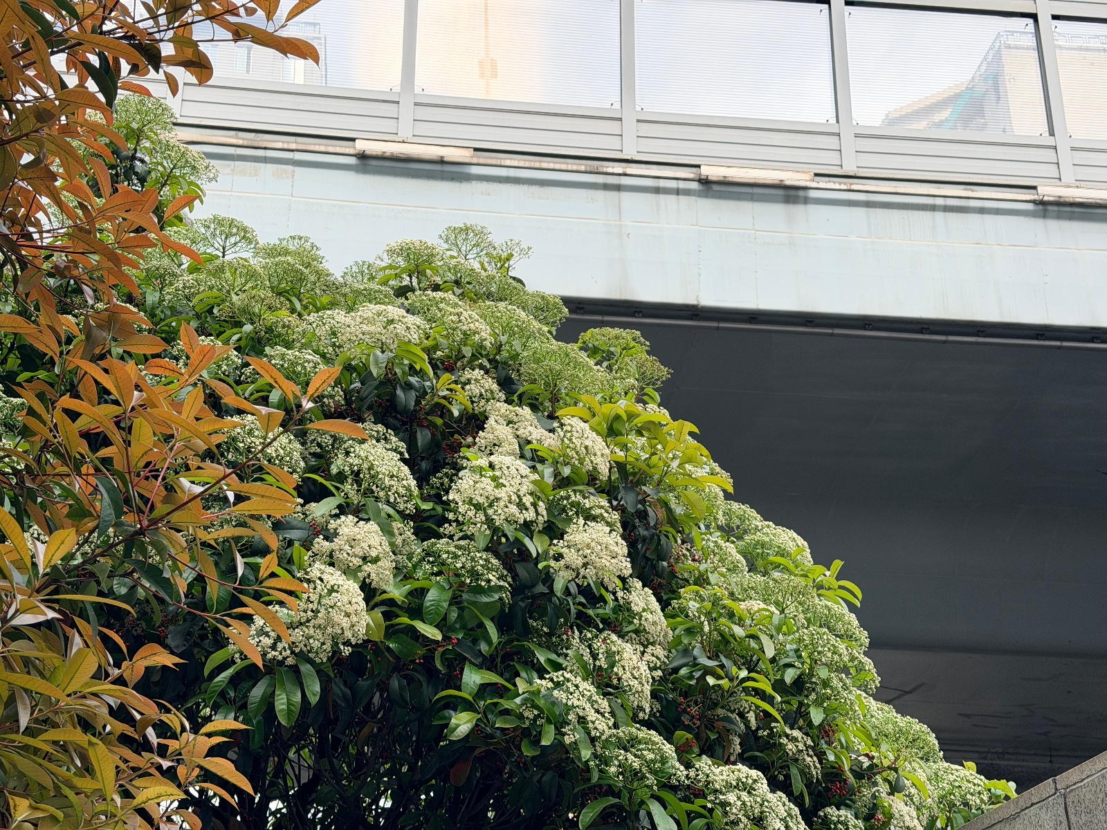 微信图片_20260330200444_131_827