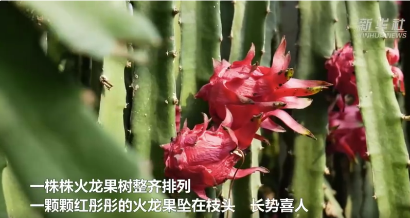 8b9a9031-d11b-4472-965b-823adcd03667.png