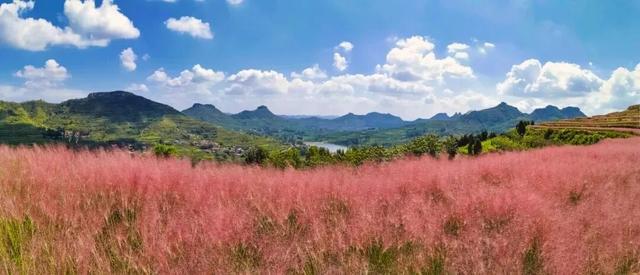 ▲岱崮地貌旅游区