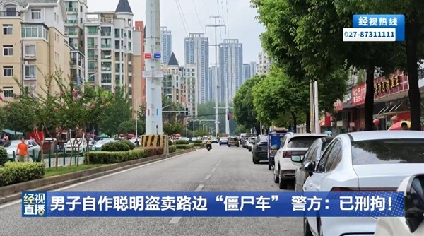 男子把轿车当僵尸车私自变获利4800元 一觉蹲进看守所