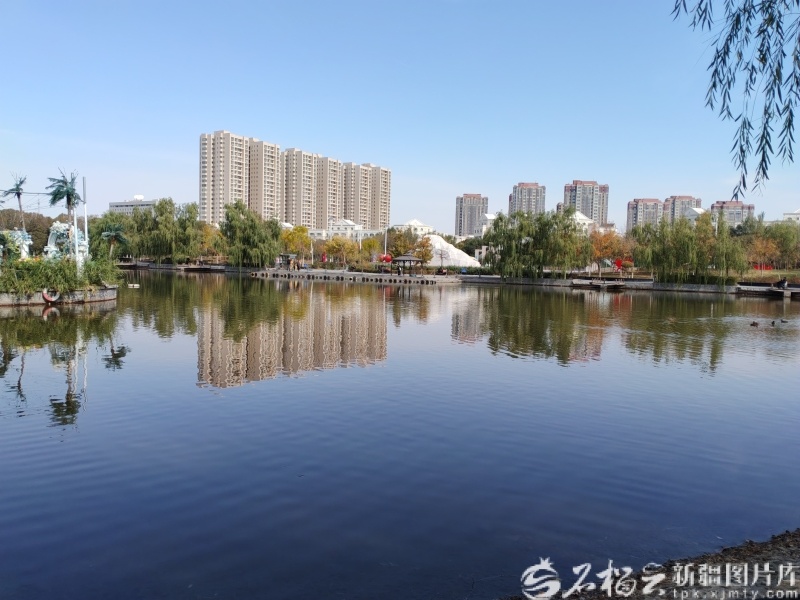 IMG_20261013_130206