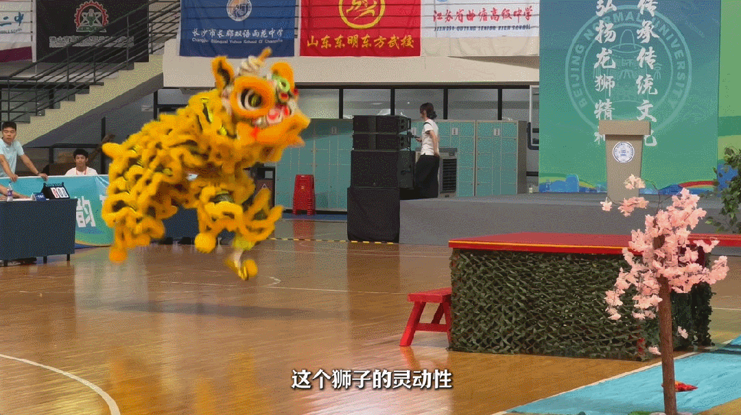 11.gif
