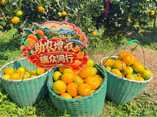 图片2.png