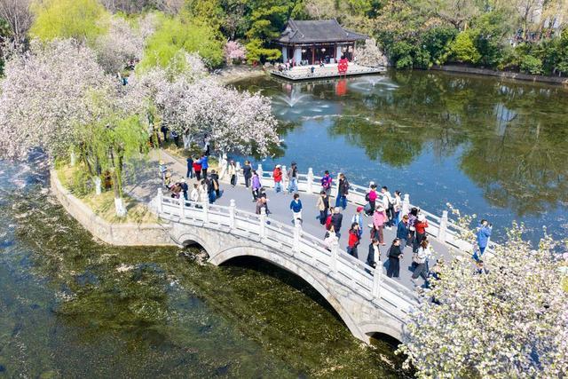 3月29日,游客在江苏南京莫愁湖公园赏花游玩(无人机照片)。新华社发(史俊摄)