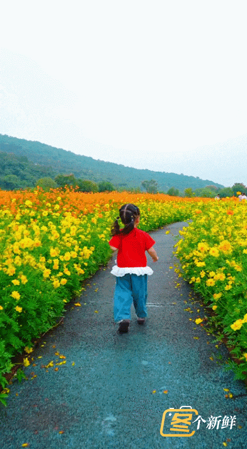 7.gif