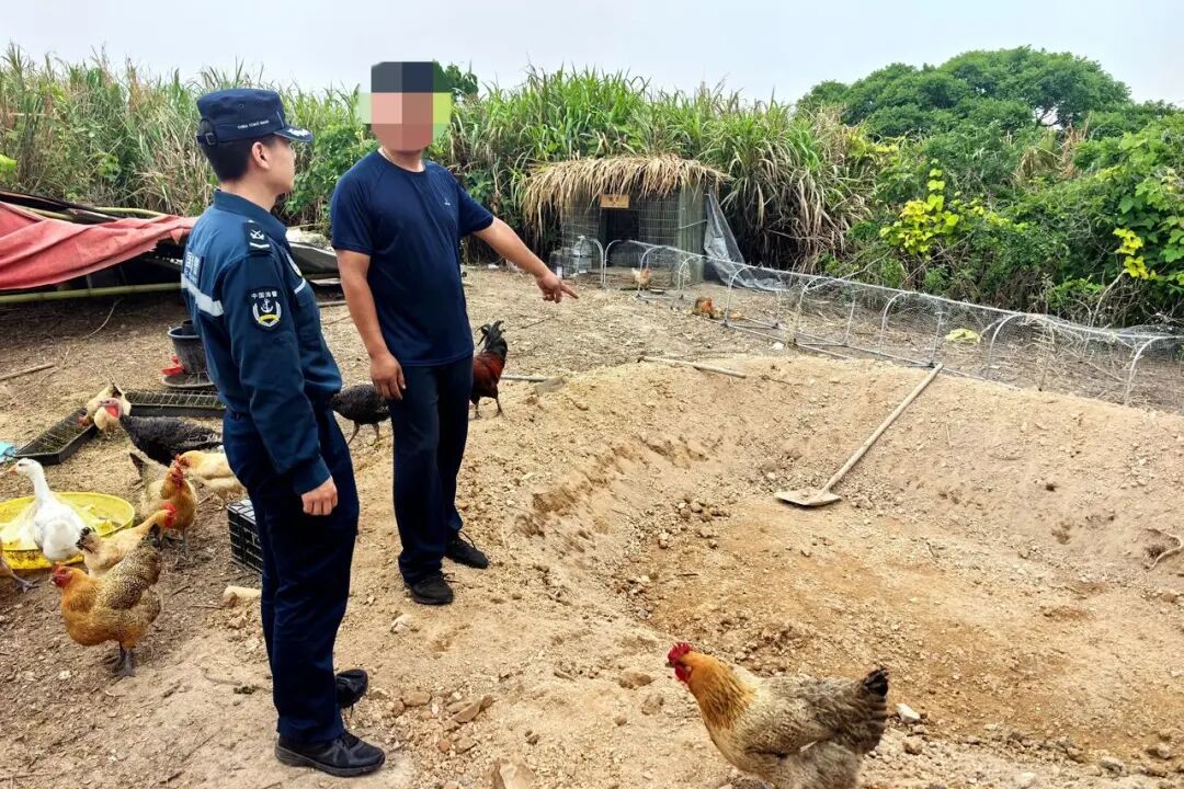 “网红主播”指认违建禽舍。宁波海警供图