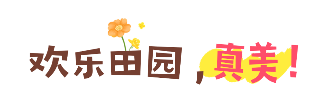 01.png