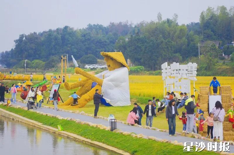 “我在开慧有丘田”项目打卡点。章帝 摄