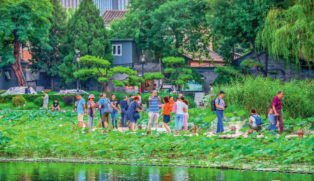 北京什刹海(西海)湿地(资料照片)受访单位供图