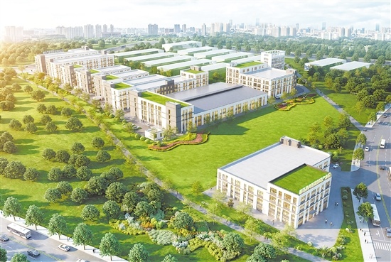 澳湾新连科技产业园从拿地到开工,仅用19天。图为澳湾新连科技产业园效果图。