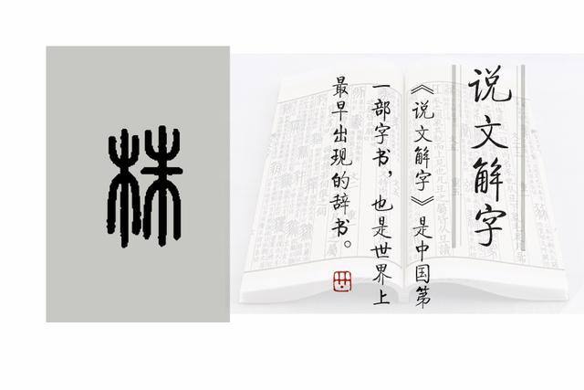 株的小篆写法