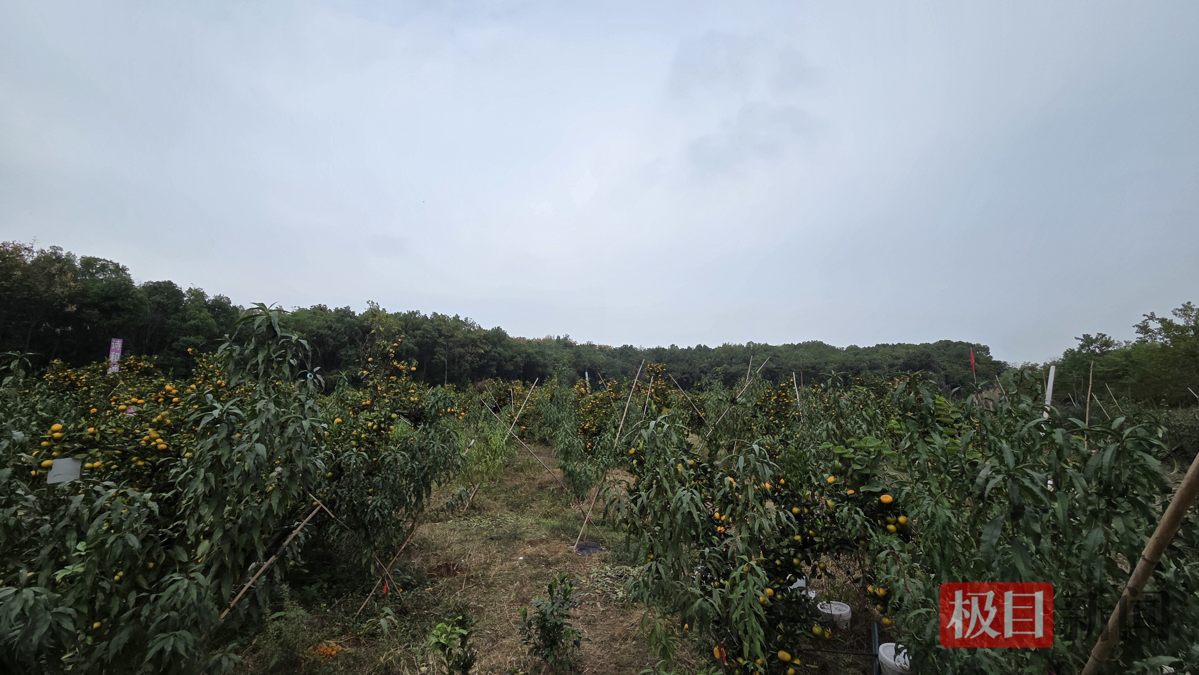 a4a4f18de22b0cabc77f31642b779e4f.jpg