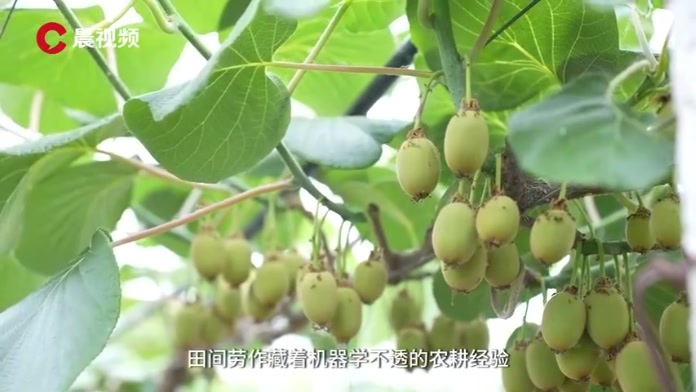 在宿迁，刘强东的乡亲们正在教AI“干活”