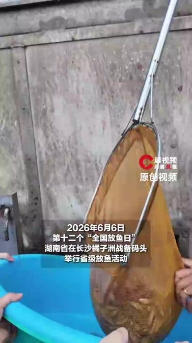 湖南启动2026“全国放鱼日”，长沙向湘江放流超760万尾鱼，有青鱼、胭脂鱼等