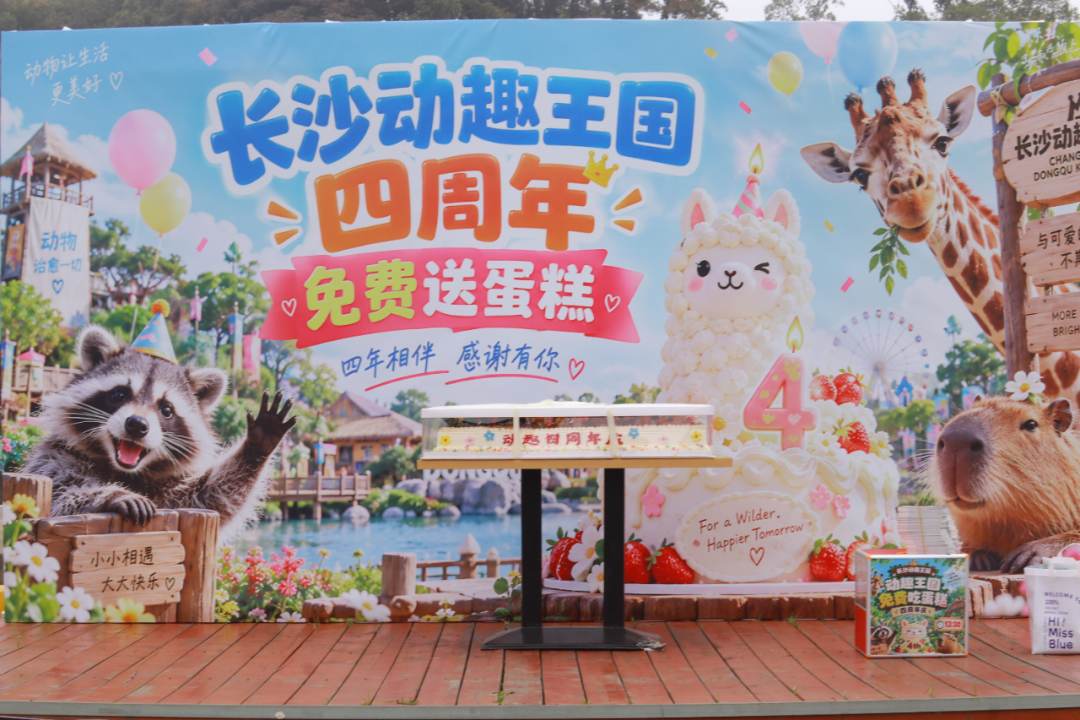 图片11.png