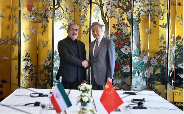 （王毅外长与伊朗最高国度安全委员会副通知内扎米普尔在新德里举行会谈）