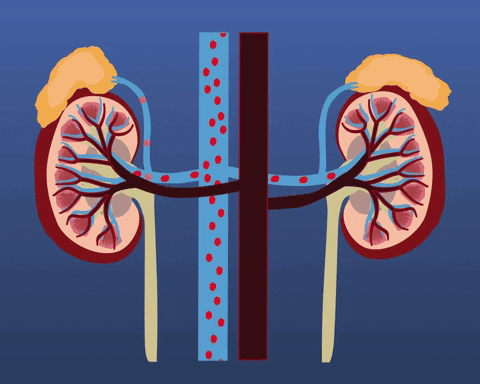 图片来源：生命时报