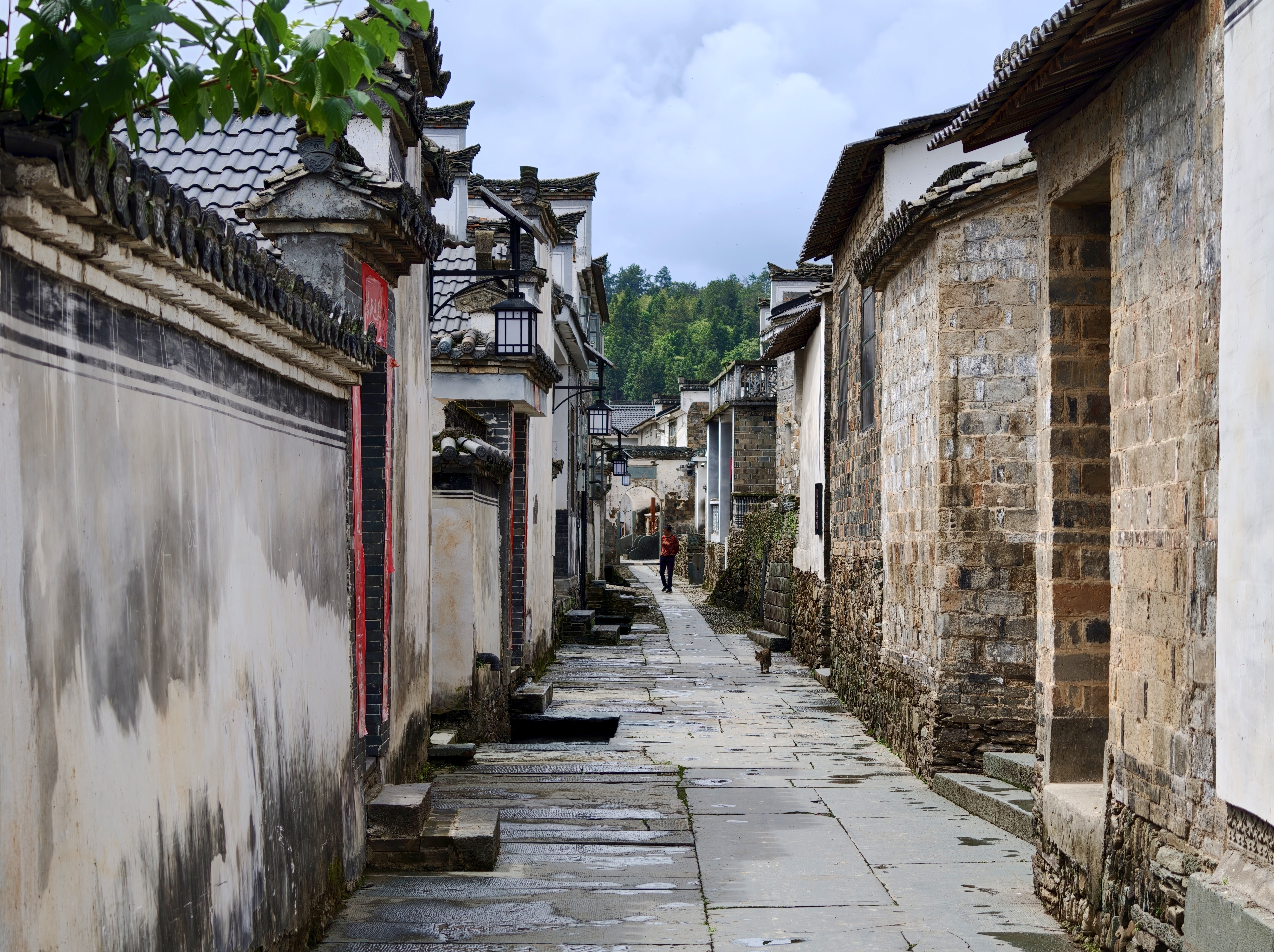礼芳村内的一处景象。新华社记者 陈浚武 摄