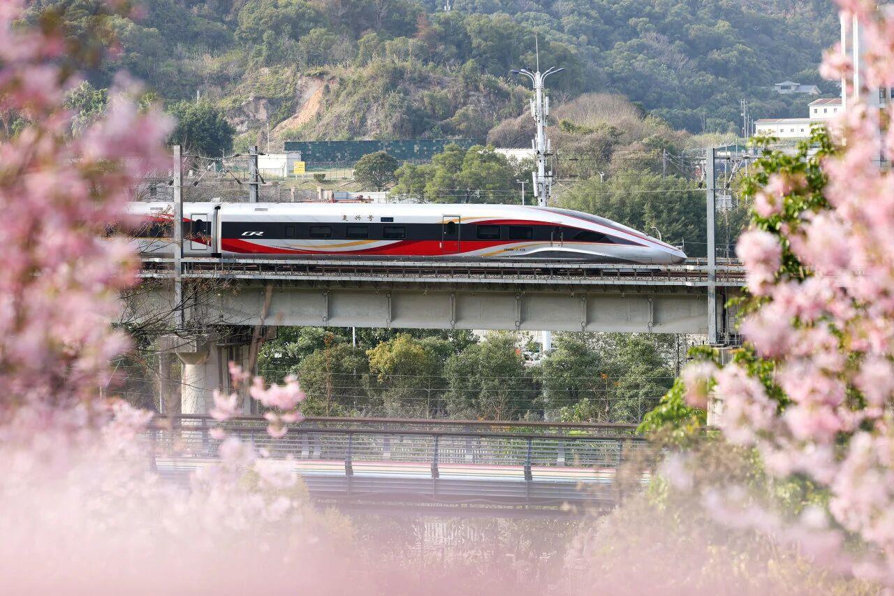 △复兴号从花海中疾驰而过。