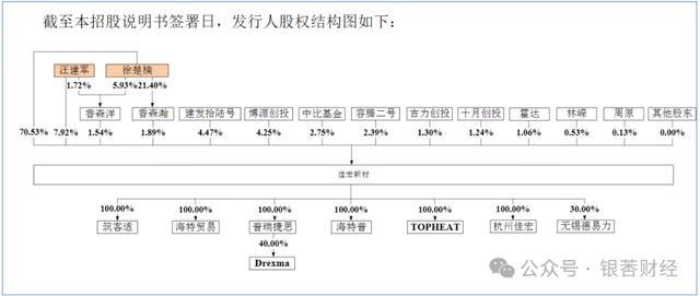 (公司股权结构图)