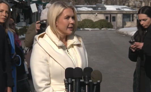 莱维特日前为特朗普辩护:他没那意思 视频截图