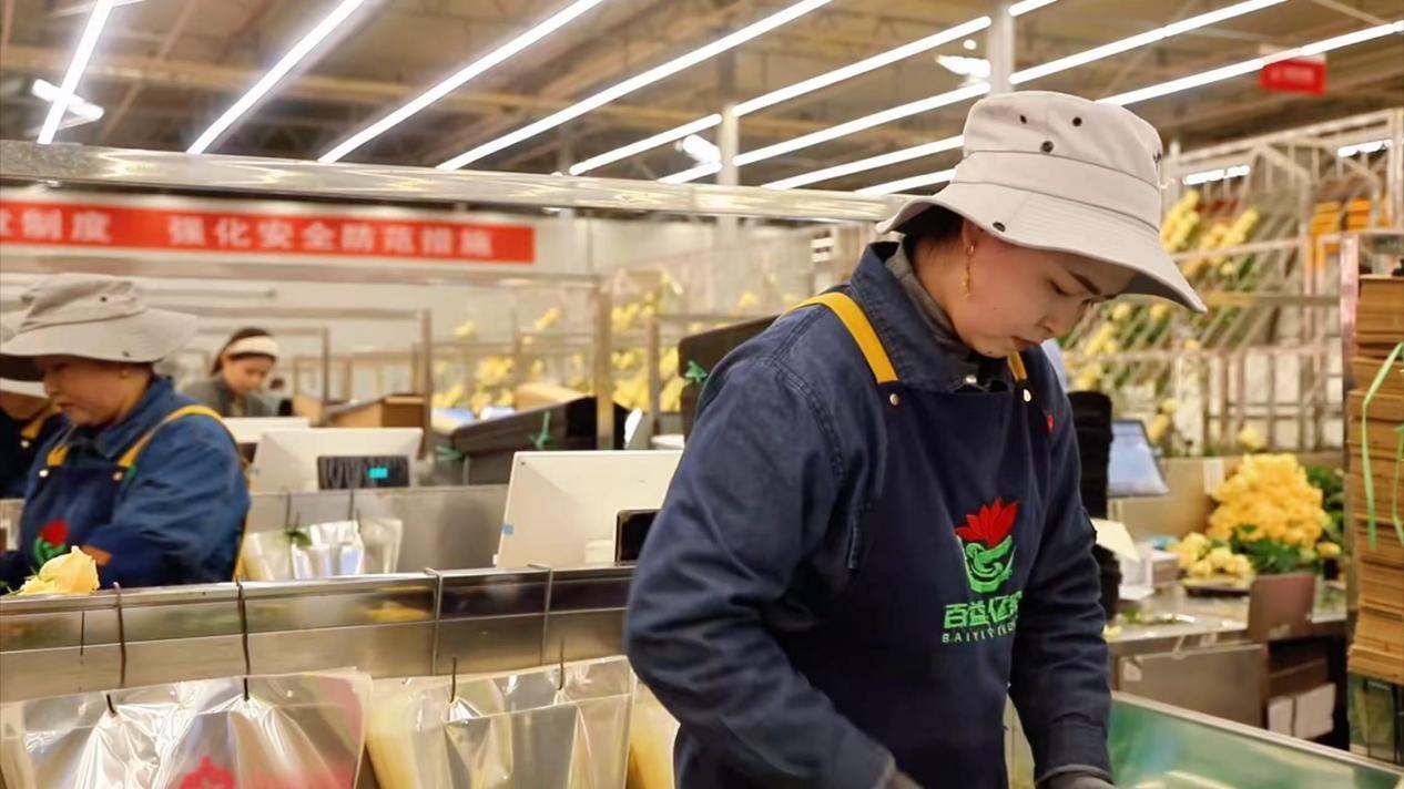 Ů���ڳ����װõ��