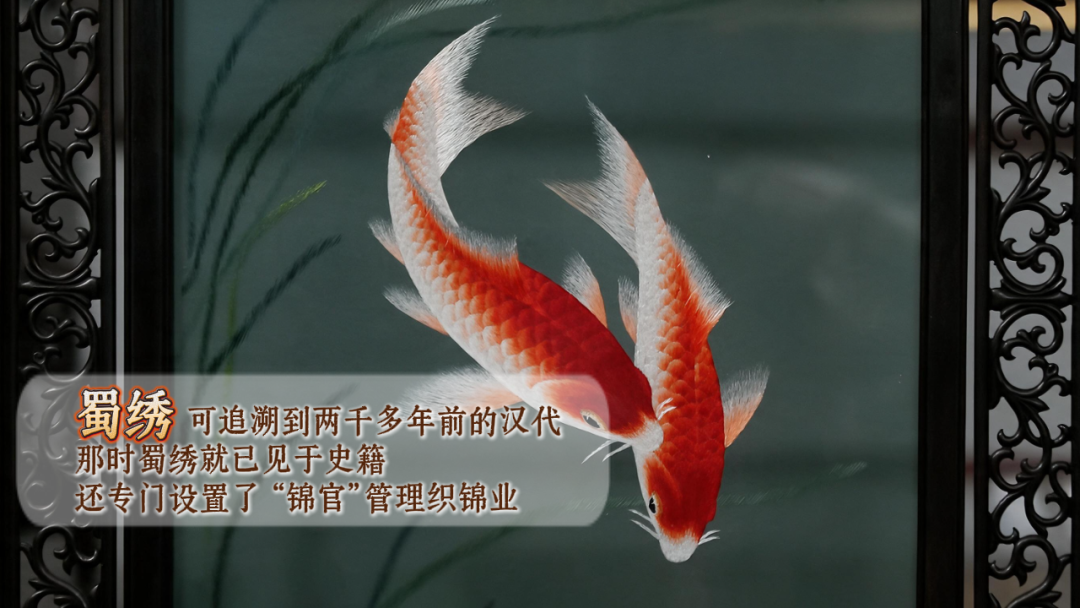 微信图片_20260930221700_192_64