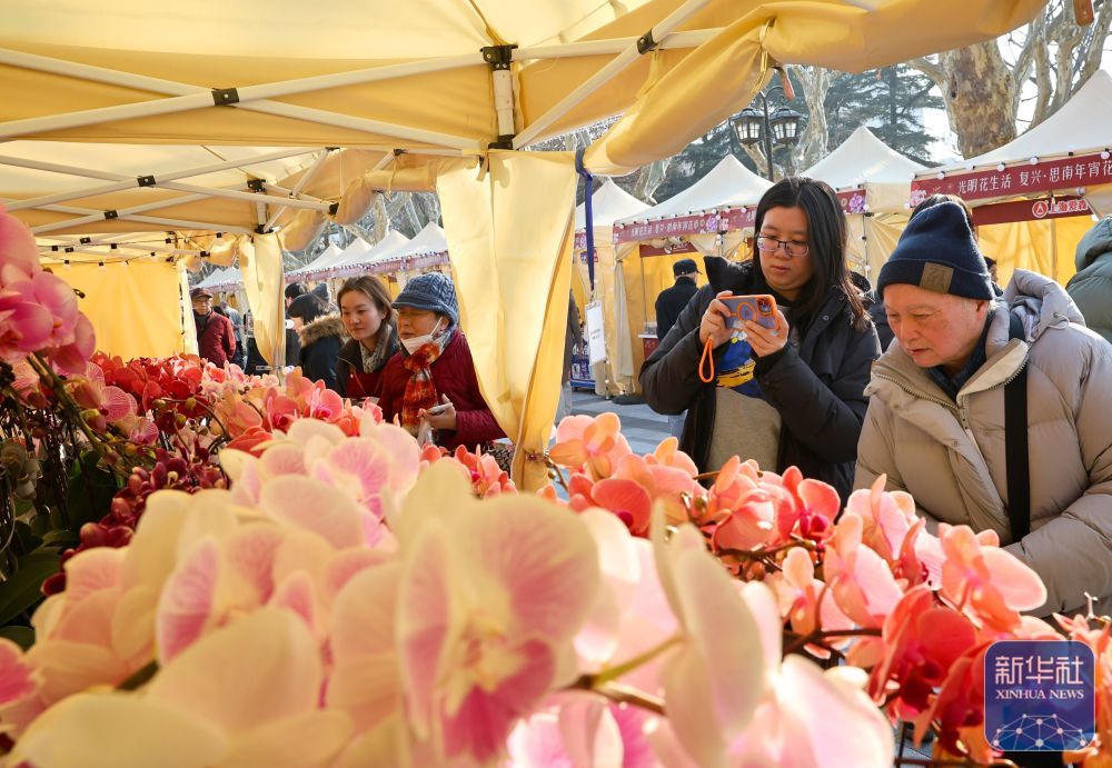 ↑1月23日，市民游客在上海复兴公园年宵花市上选购蝴蝶兰。新华社记者 方喆 摄