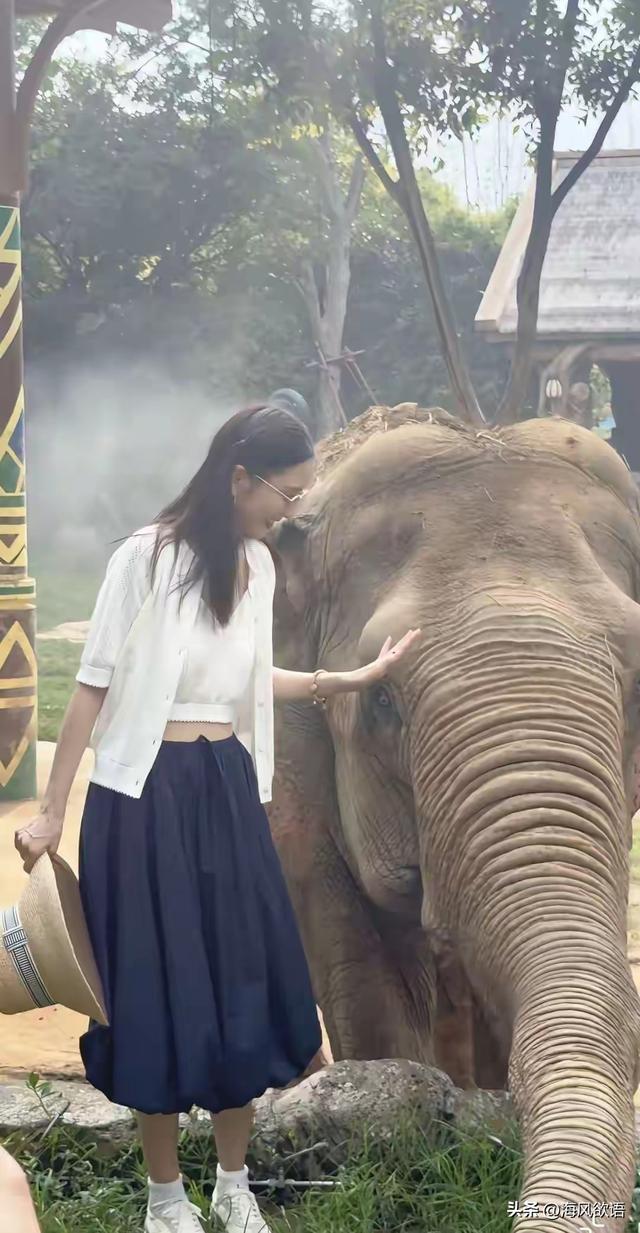 图片来源于网络
