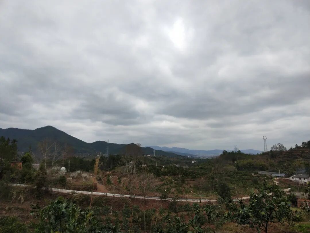 雨后大地农场 | 受访者供图