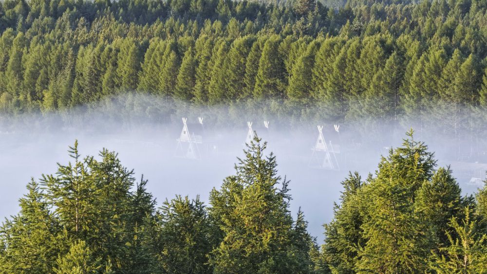 2025年6月21日拍摄的塞罕坝国家级自然保护区晨景（无人机照片）。新华社发（刘满仓摄）