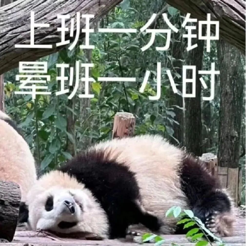 微信图片_20230518210510.jpg