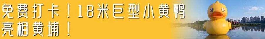 版尾.jpg